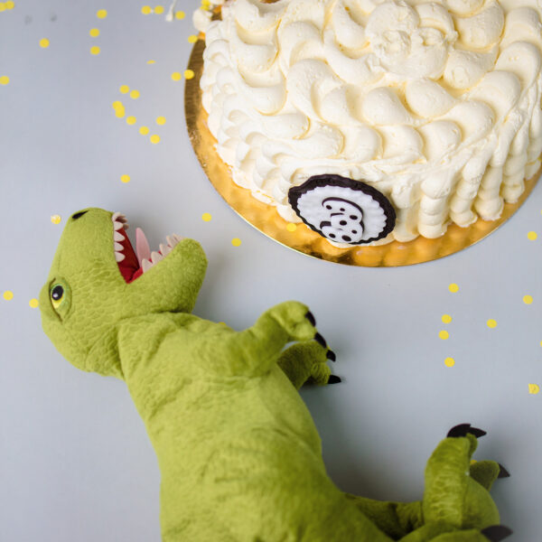 Gniewosz-fotografia-noworodkowa-gdynia-gdańsk-trójmiasto-sopot-sesja-zdjęciowa-noworodkowa