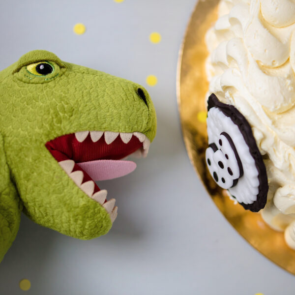 Gniewosz-fotografia-noworodkowa-gdynia-gdańsk-trójmiasto-sopot-sesja-zdjęciowa-noworodkowa