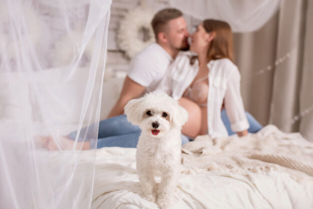 Dominika-fotografia-noworodkowa-gdynia-gdańsk-trójmiasto-sopot-sesja-zdjęciowa-noworodkowa